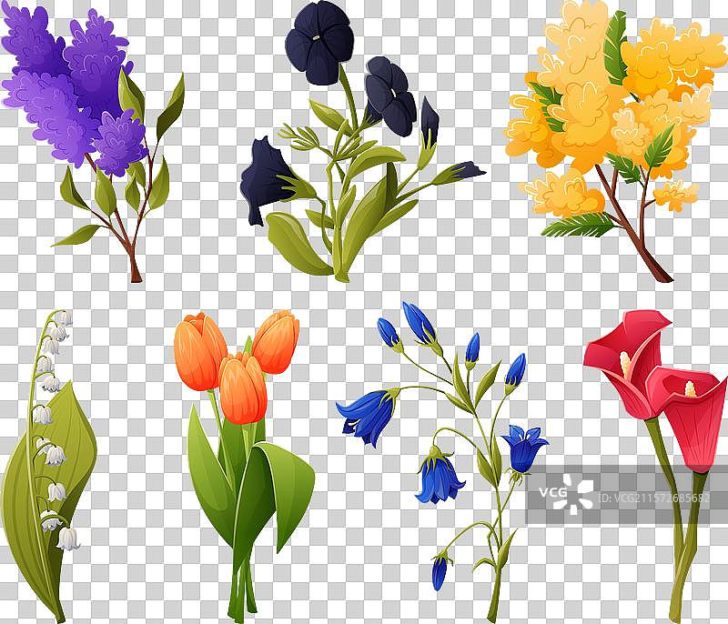 各种色彩缤纷的花束合集图片素材