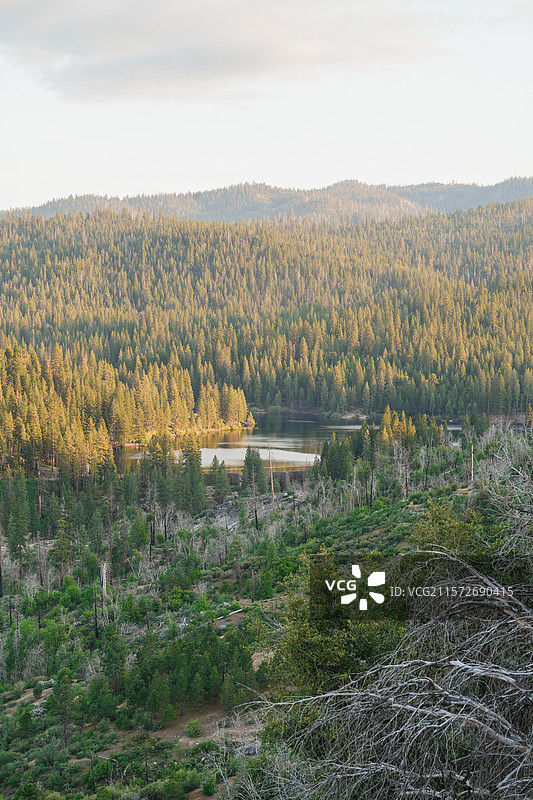 国王峡谷国家公园Hume Lake图片素材