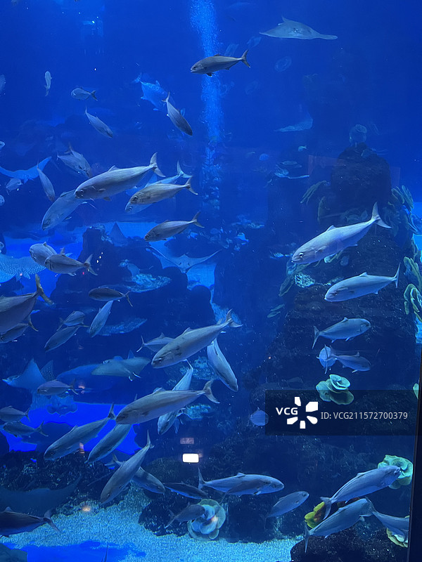 海洋馆海底世界图片素材