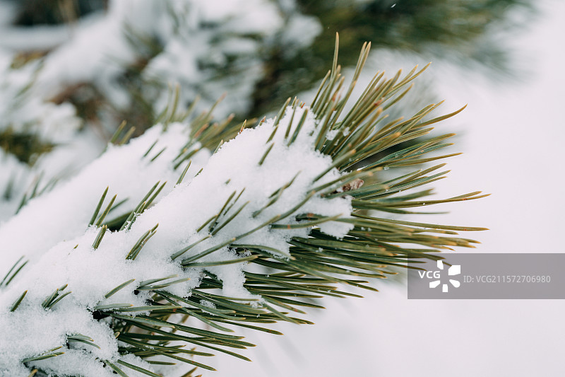 北海道洞爷湖有珠山图片素材