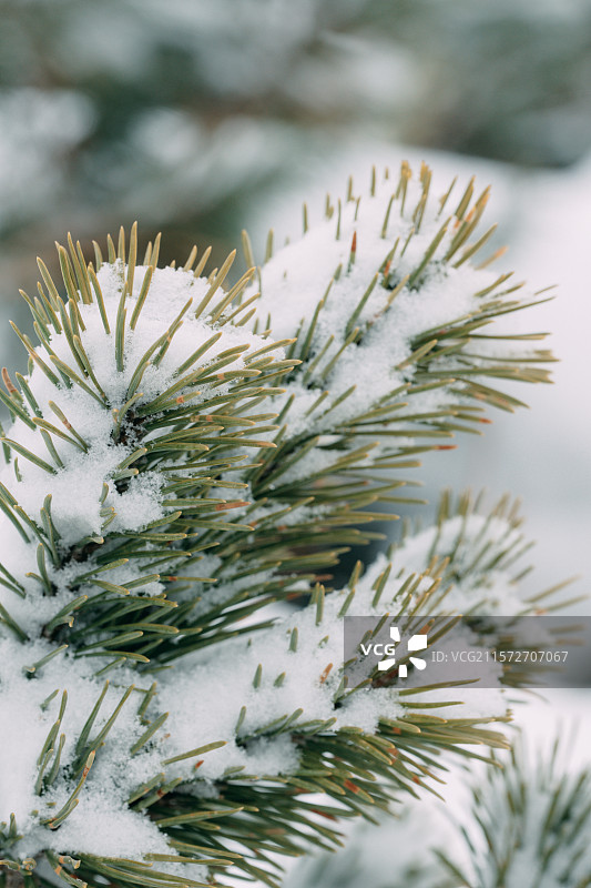 北海道洞爷湖有珠山图片素材