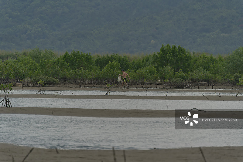 惠州盐洲岛的滩涂风光图片素材