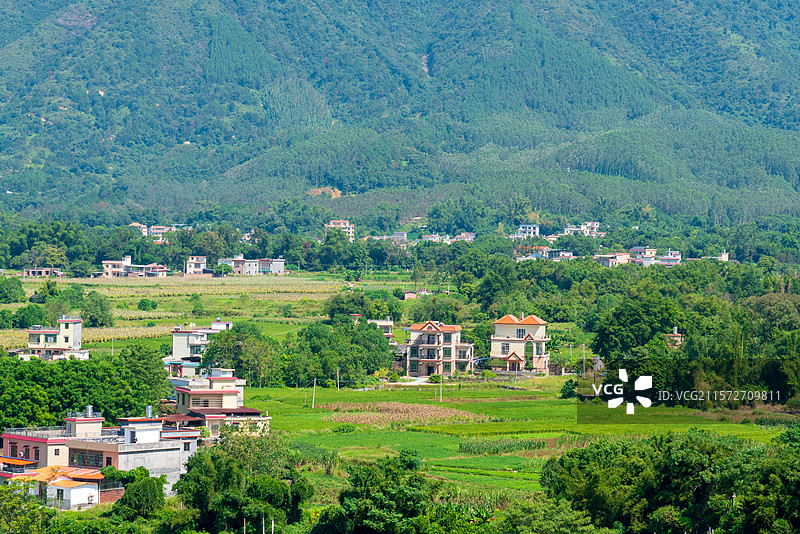 晴朗天气下的田园风光图片素材