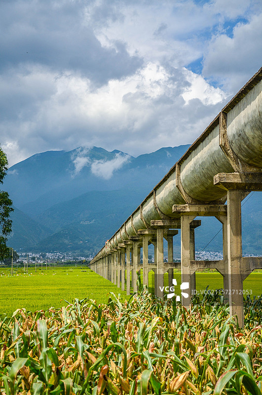 云南大理风景：古城、洱海与田野图片素材