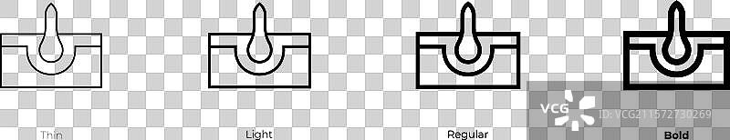 头发毛囊图标，细线、常规和粗体图片素材