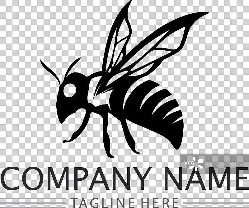 蜂蜜和蜜蜂图标标志动物设计图片素材