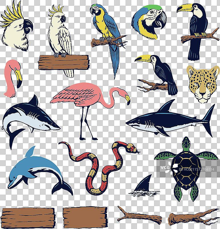 热带动物手绘图集图片素材