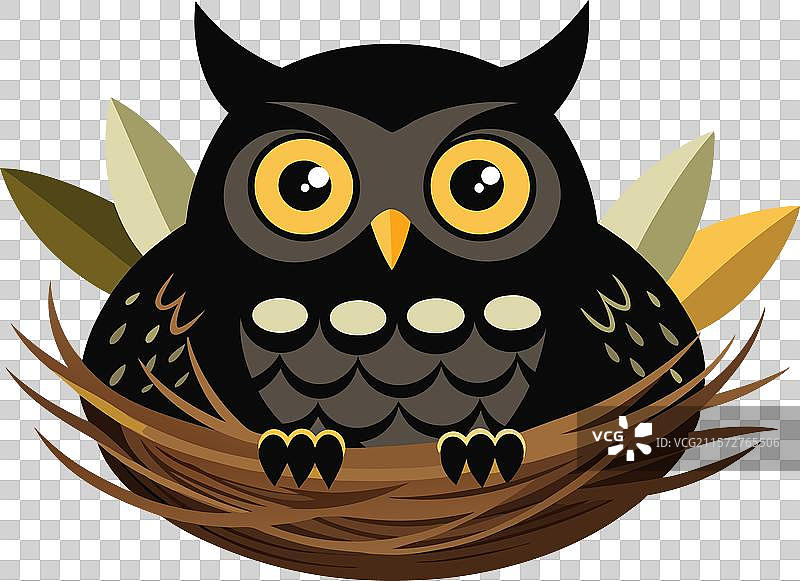 她巢中的猫头鹰图片素材