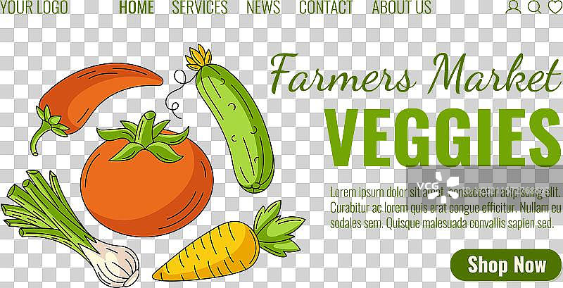 有机蔬菜新鲜农产品网页模板图片素材