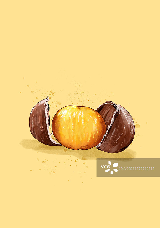 手绘剥开的板栗插画图片素材