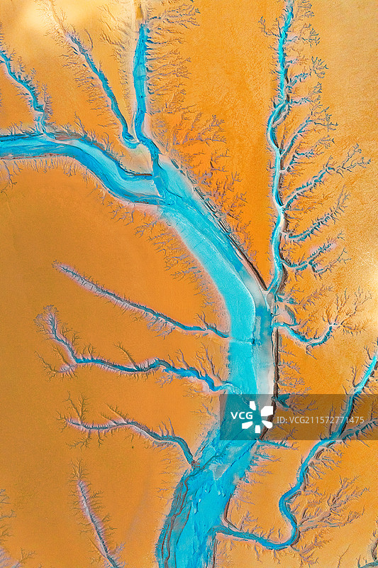 杭州钱塘江潮汐树图片素材