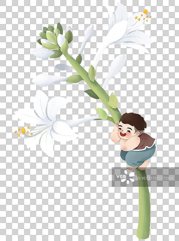白露节气插画元素 植物玉簪花和小男孩图片素材