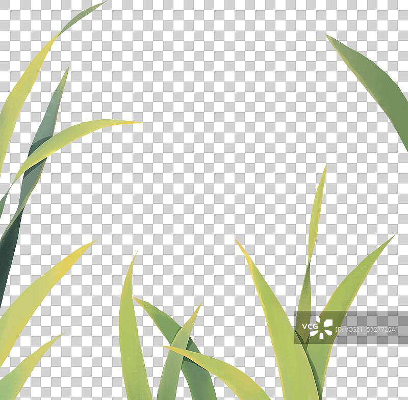 春天夏天节气插画元素小草叶子图片素材