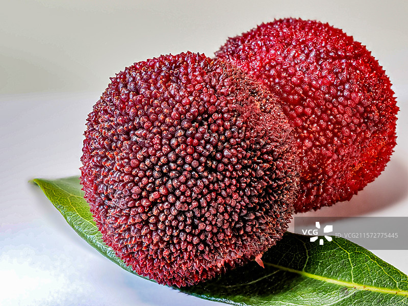 杨梅 特写 微距图片素材