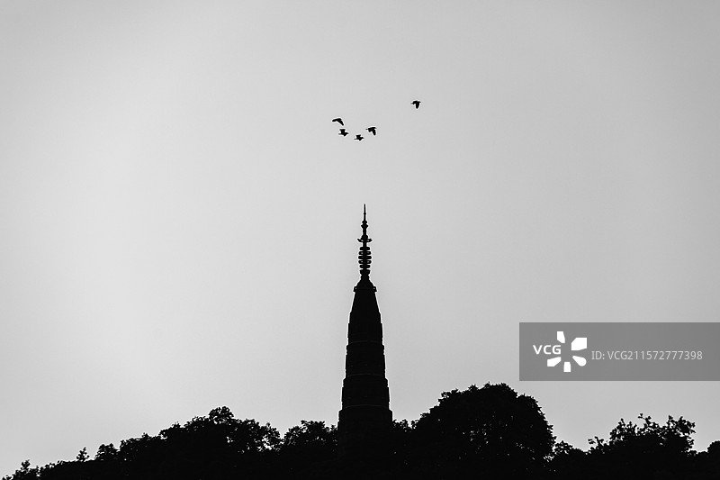 杭州保俶塔图片素材