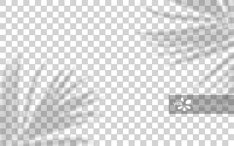 孤立的棕榈树枝投射的阴影覆盖层图片素材