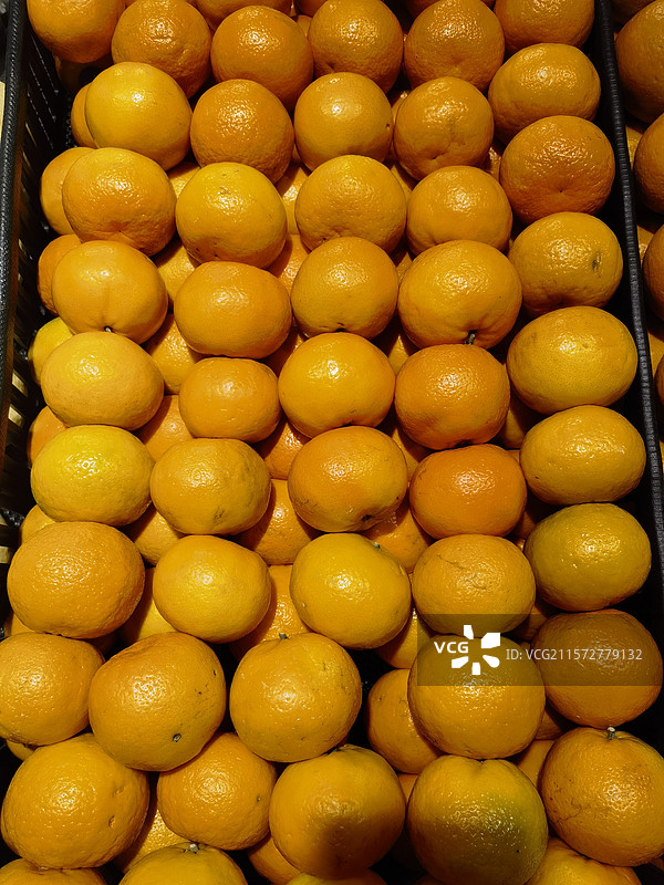 西瓜、榴莲、甜瓜、芒果、橙子、苹果、香蕉、葡萄、草莓、蓝莓、水果、夏季水果、夏天、夏季、高温、降暑图片素材