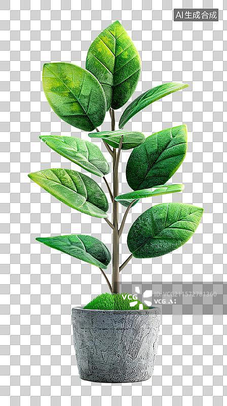 【AI数字艺术】绿意盎然的盆栽植物    水泥花盆里的绿植图片素材