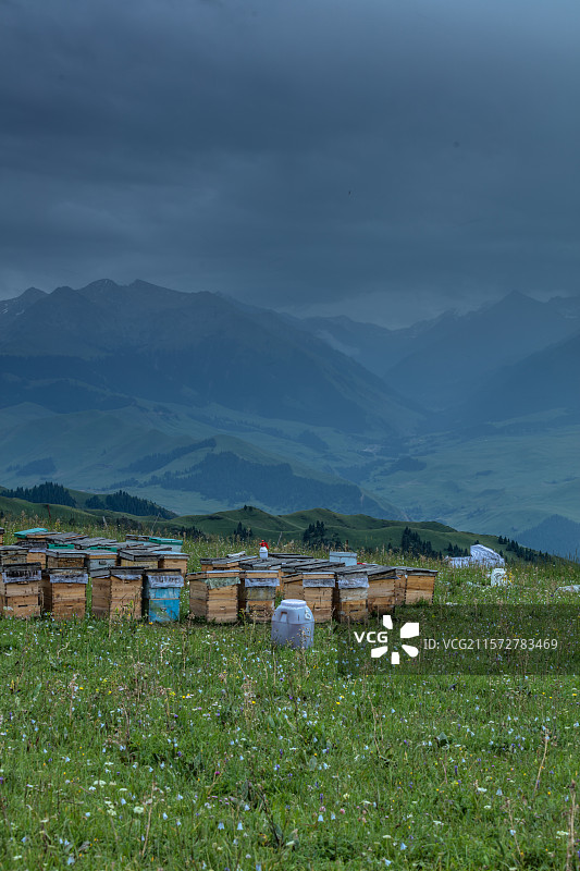 喀拉峻草原的蜂箱图片素材