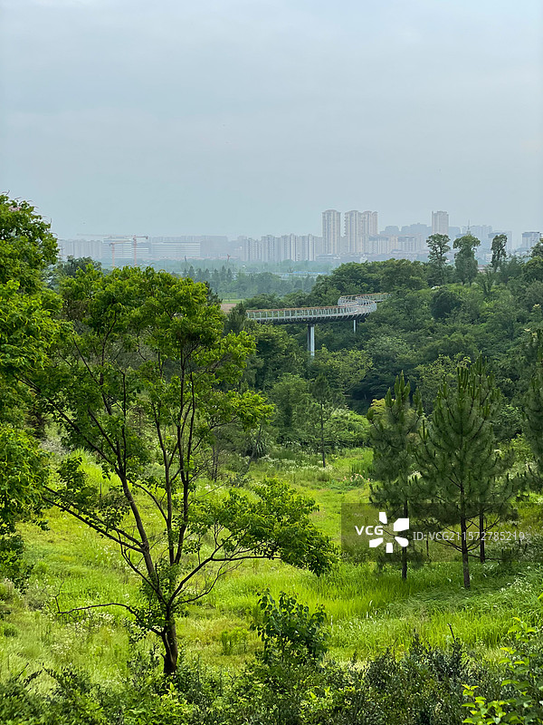 浙江金华赤山公园山顶俯瞰风景图片素材