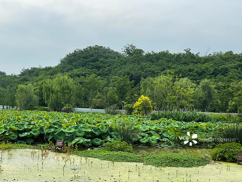 浙江金华赤山公园图片素材
