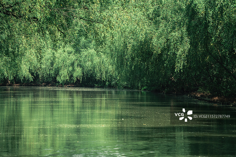 广州南沙湿地景观图片素材