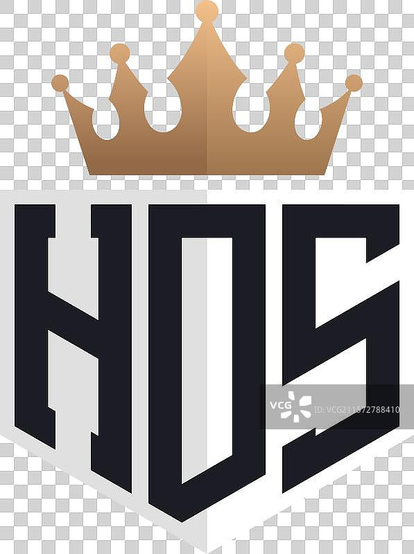 奢华的HDS标志，带有皇冠和优雅的首字母HDS图片素材