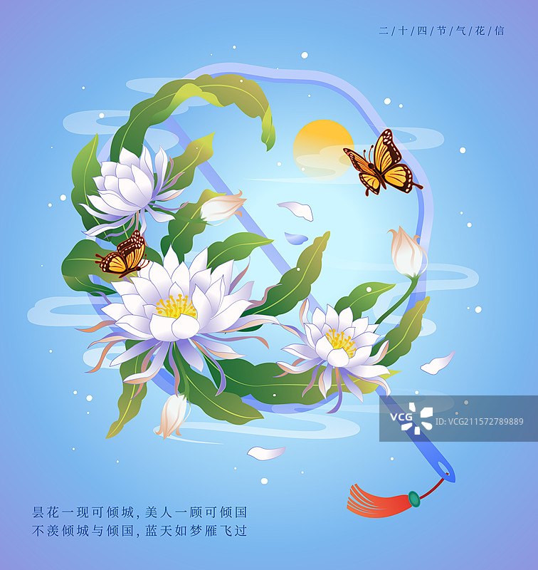 新中式二十四节气白露 昙花 矢量插画海报图片素材