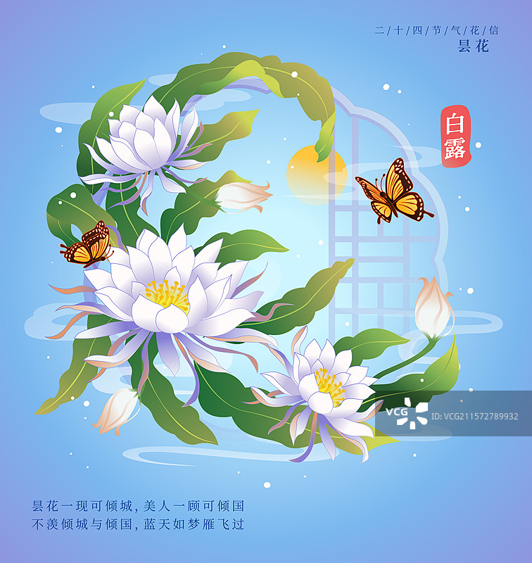 新中式二十四节气白露 昙花 矢量插画海报图片素材