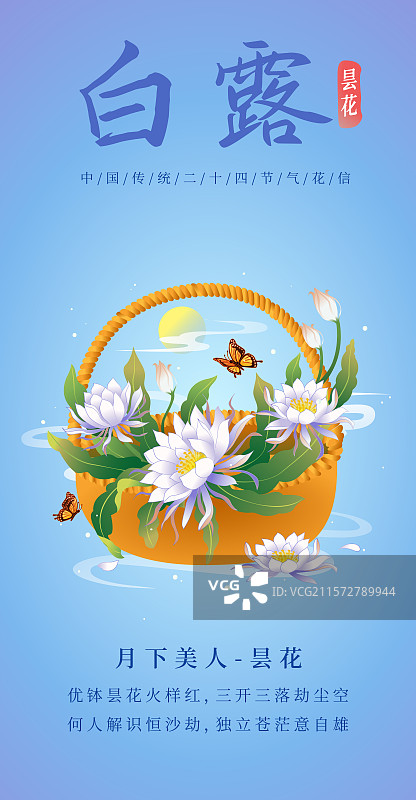 新中式二十四节气白露 昙花 矢量插画海报图片素材