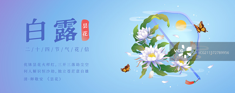新中式二十四节气白露 昙花 矢量插画海报图片素材