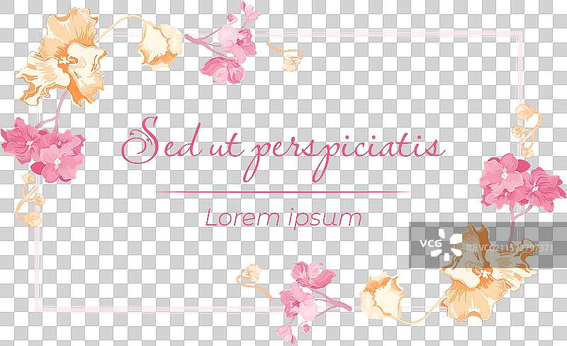 孤立的框架中盛开的室内植物图片素材