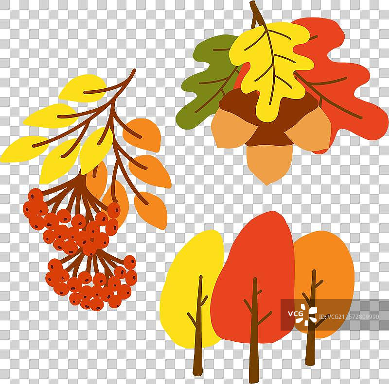 五彩斑斓的秋叶和浆果与橡果图片素材