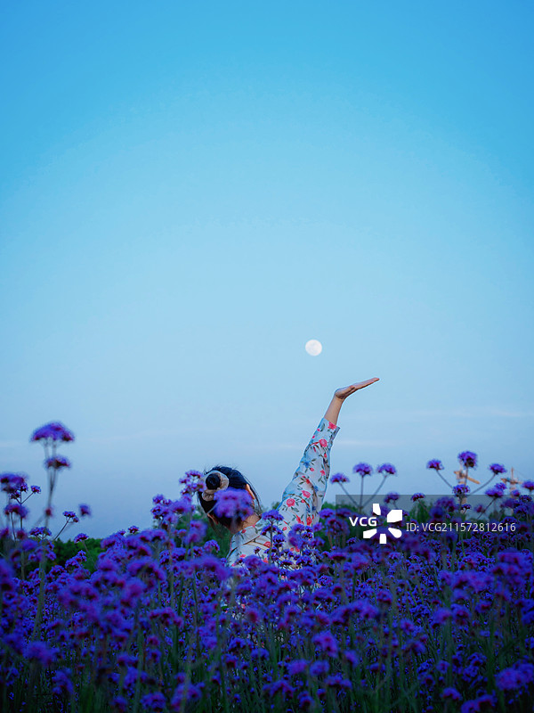 傍晚马尾鞭草丛中的女子图片素材