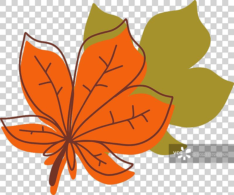 秋天的树叶呈现出鲜艳的橙色和绿色。图片素材