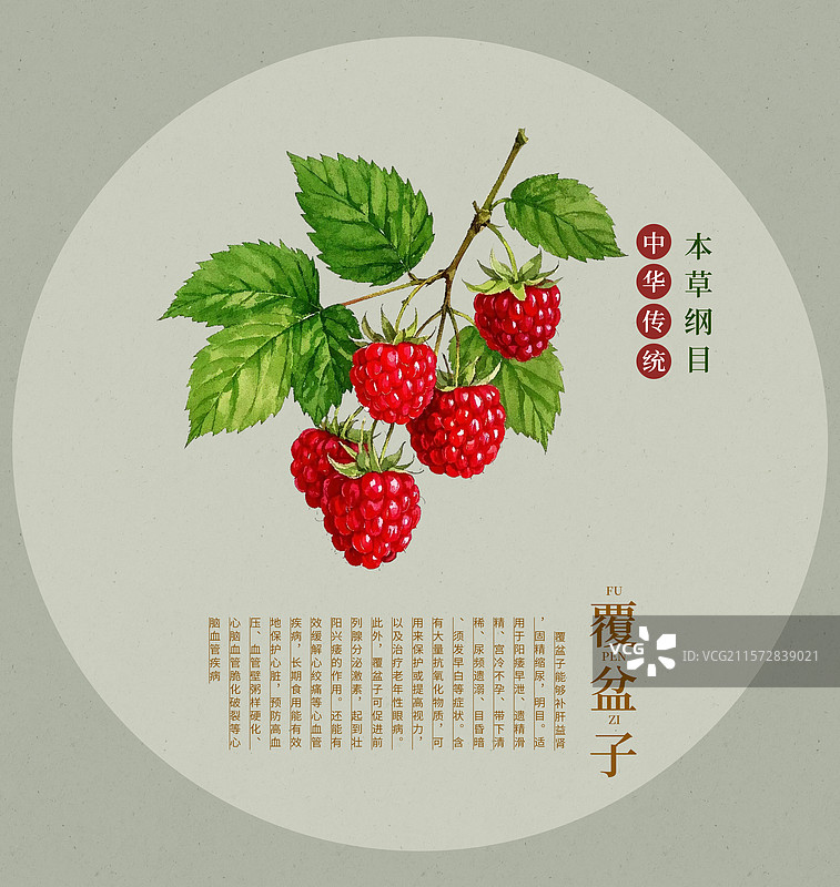 中国传统文化中草药药材之覆盆子图片素材