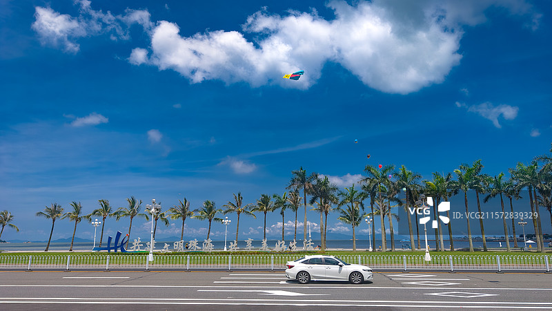 蓝天下的珠海棕榈树和道路图片素材