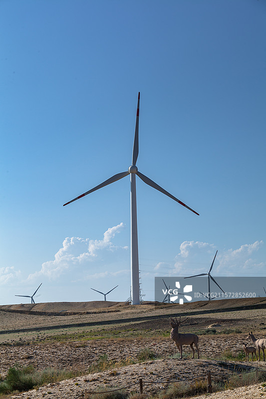 新疆富蕴五彩滩景色图片素材