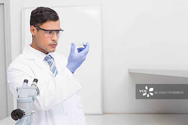 男科学家戴着护目镜和手套，在实验室里检查显微镜旁的样品容器。图片素材