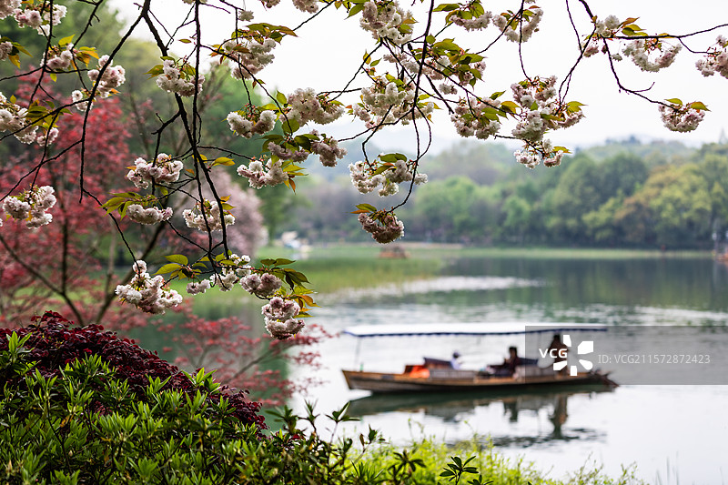 杭州乌龟潭春色图片素材