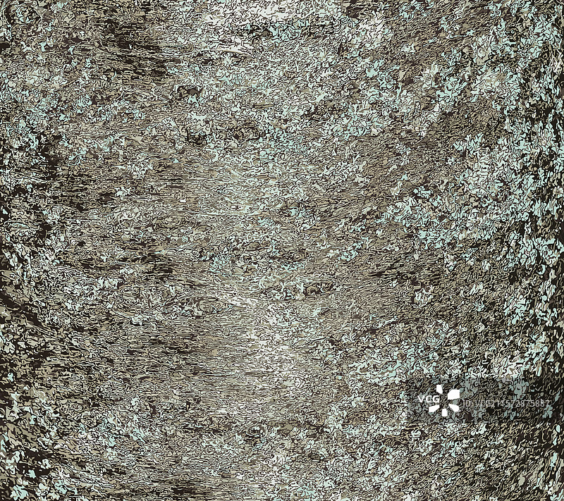 日本樱树树皮（Prunus）图片素材