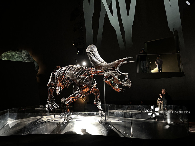 墨尔本博物馆图片素材