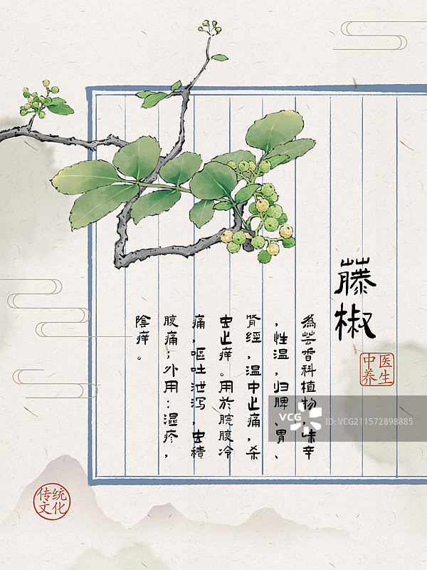 手绘调料佐料植物中药药材花椒插画海报，新鲜麻椒藤椒青花椒红花椒大红袍，云贵川渝陕麦积秦安花椒。图片素材