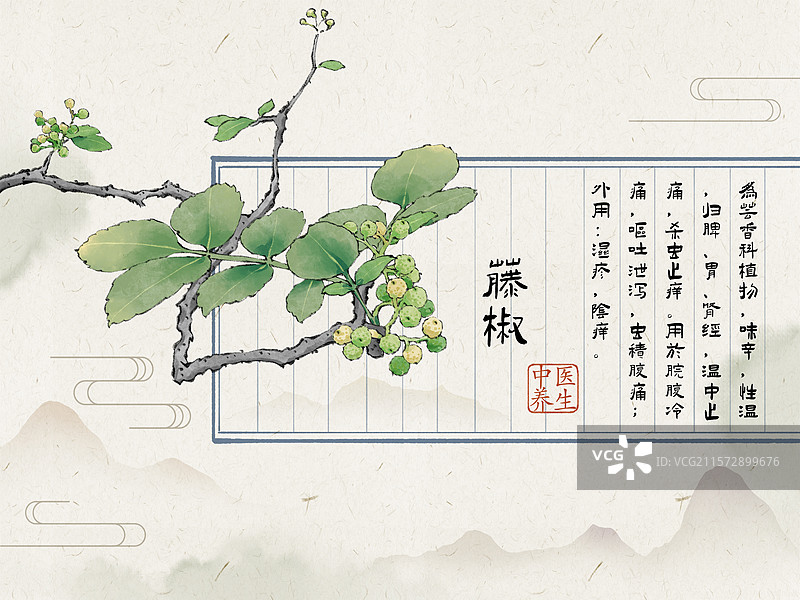 藤椒青花椒红花椒大红袍，云贵川渝陕麦积秦安花椒。图片素材