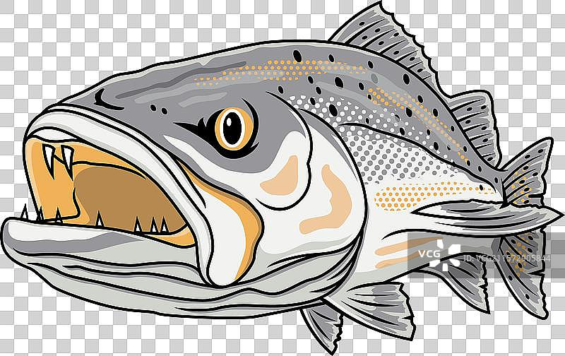 斑点鳟鱼钓鱼标志图片素材