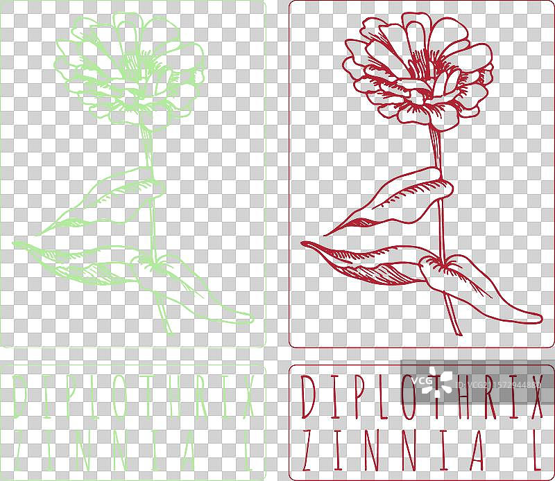 手绘的双头蛇图案图片素材