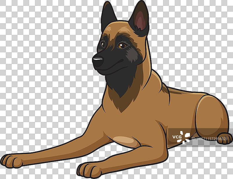 躺着的比利时牧羊犬卡通形象图片素材