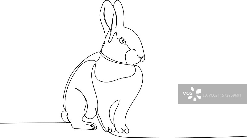 兔子 宠物 动物饲养 野兔 一行艺术图片素材
