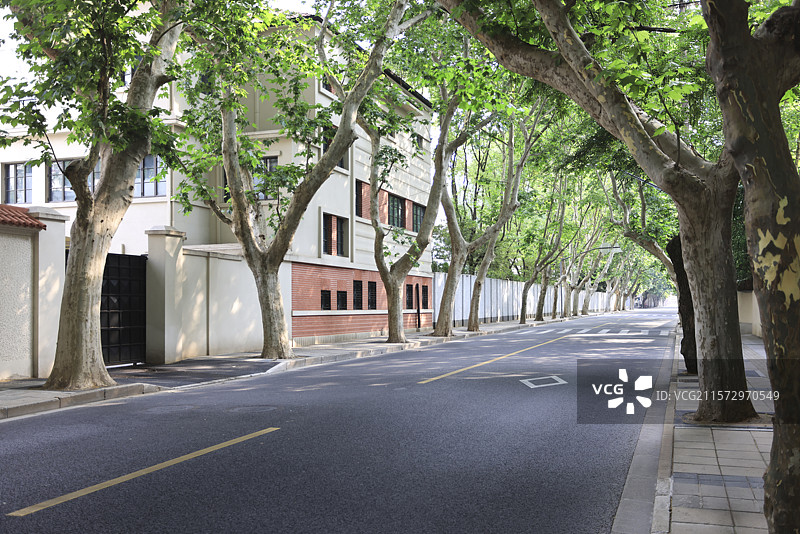 上海衡山路城市绿色街道长廊图片素材