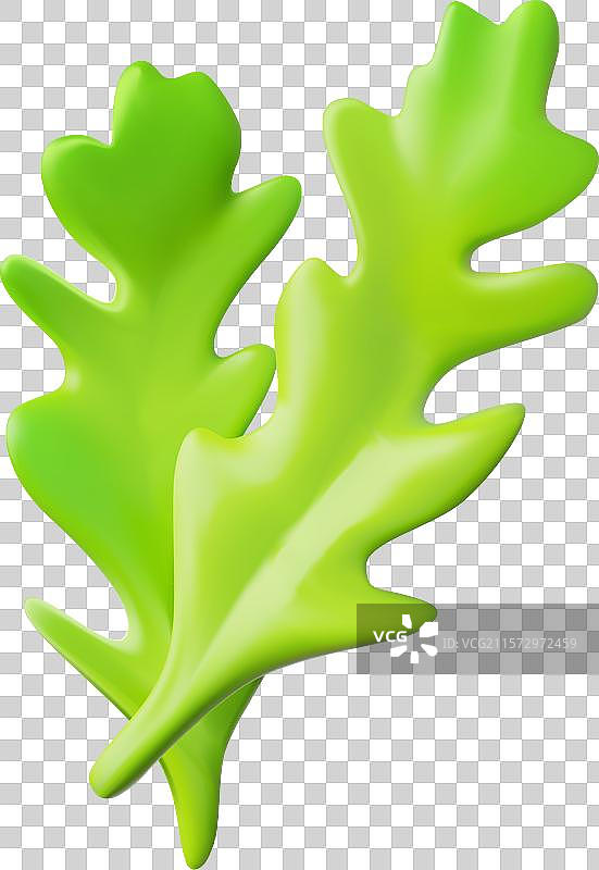 3D塑料风格的芝麻菜叶图标图片素材